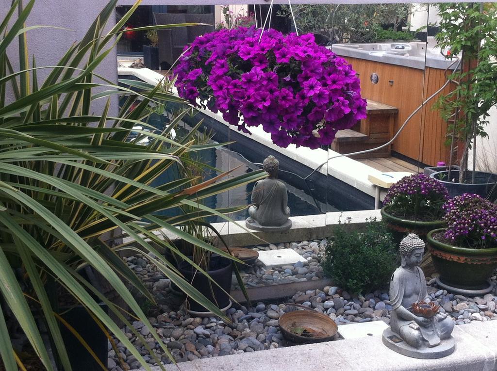 אביניון B&B - Chambres D'Hotes Le Foch מראה חיצוני תמונה